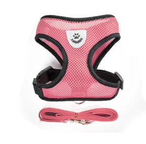 Accessoire Chats (Brosse,Coupe Griffe, ect)